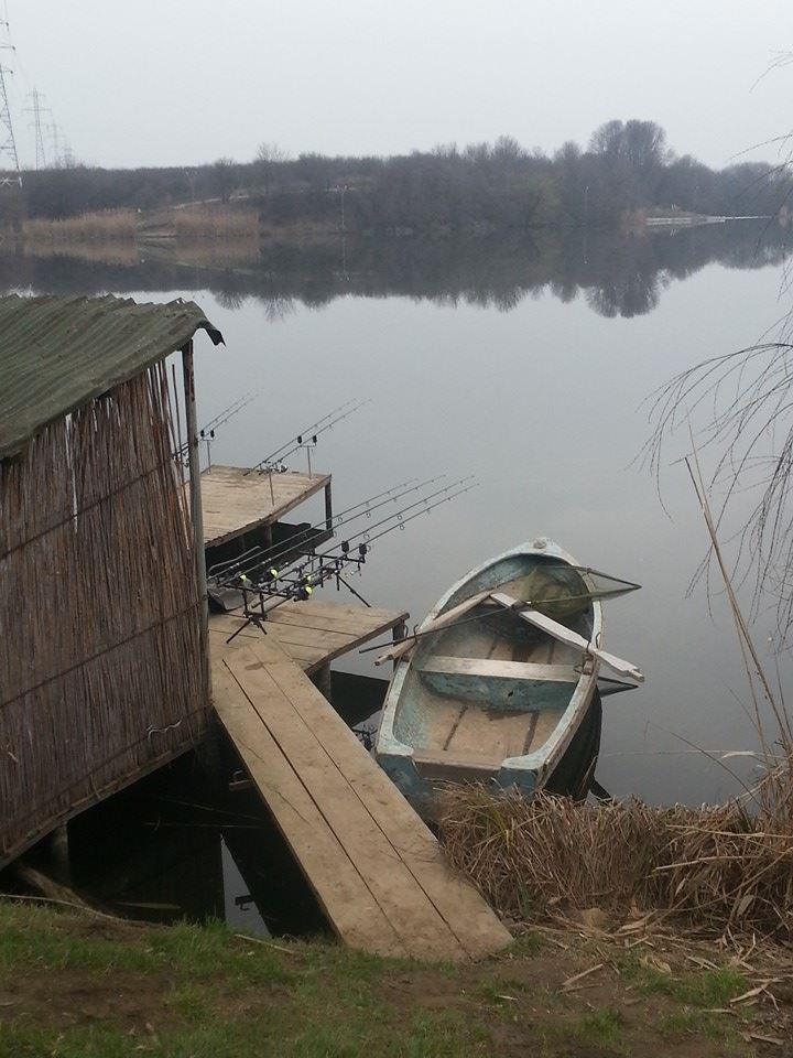 Tancabesti 1 - 2 mar. - z8.jpg